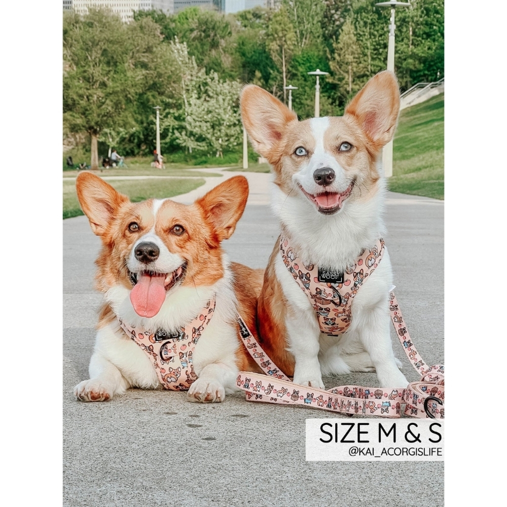 Sassy Woof Corgilicious Large Dog Harness - Picture 9 of 16